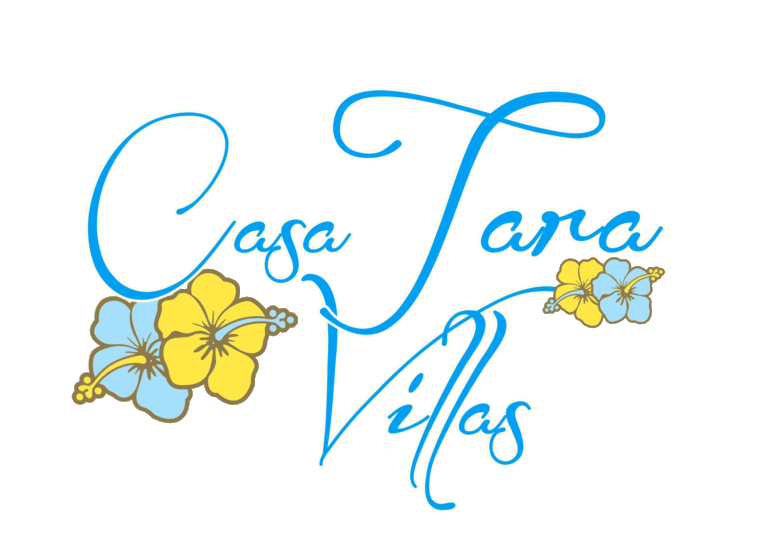 90a411 0c0f3dc29fd8447ca51801252b449622mv2 d 2012 1462 s 2 768x558