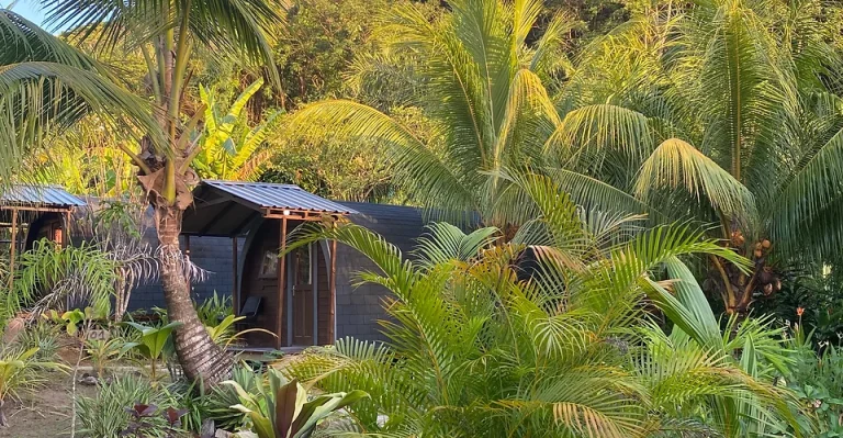 a peace in paradise villas 768x399