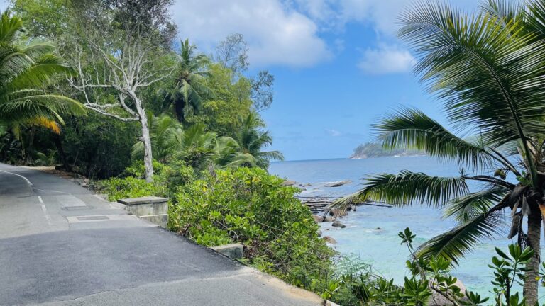 A1 Fishing - Your Ultimate Seychelles Fishing Experience a1 fishing your ultimate seychelles fishing experience 768x432