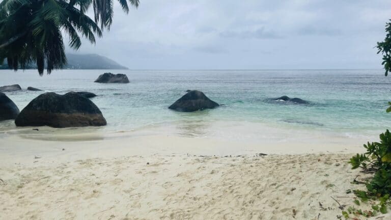 aarjay contruction pty ltd 768x432