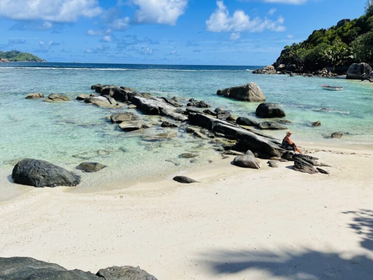 abundantly seychelles 768x576