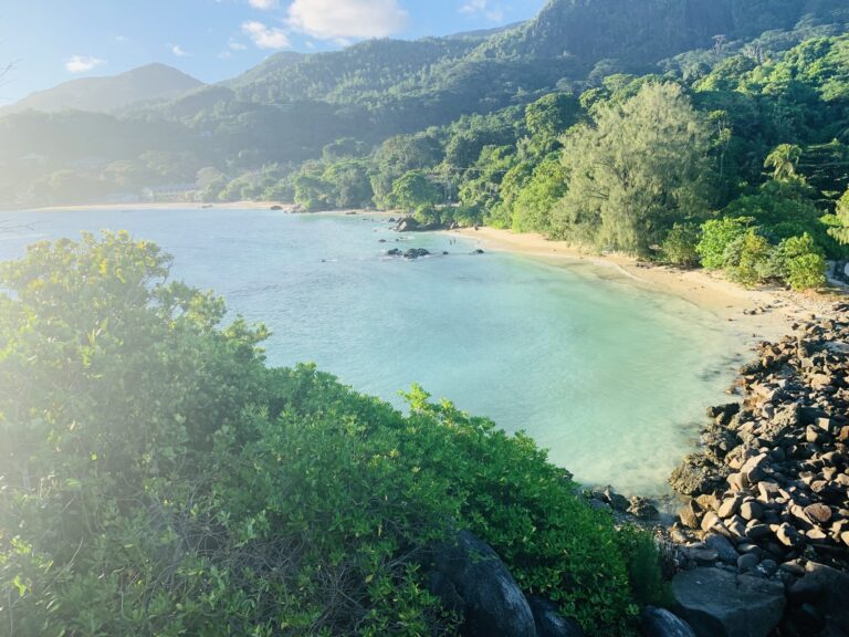 airport car rental seychelles 768x576