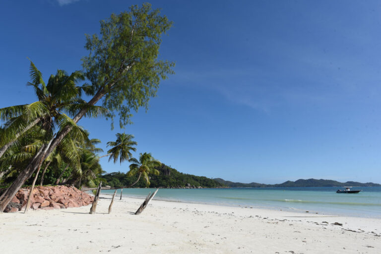 alliance francaise des seychelles 768x513