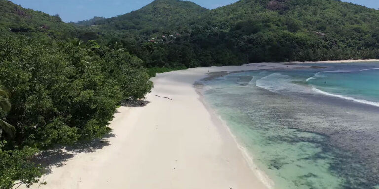 angel fish self catering 768x384