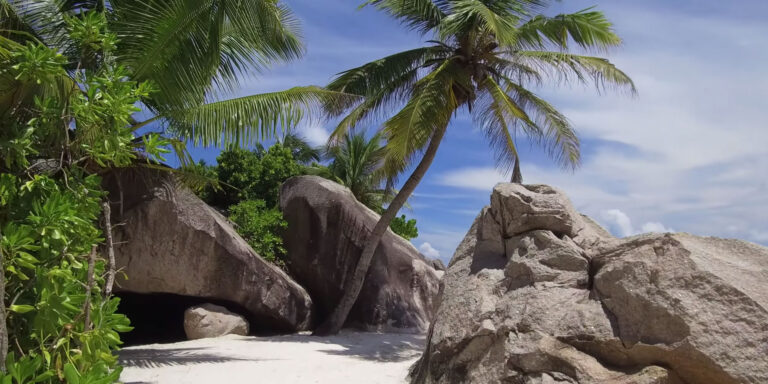 Profile anse georgette charter pty ltd 768x384