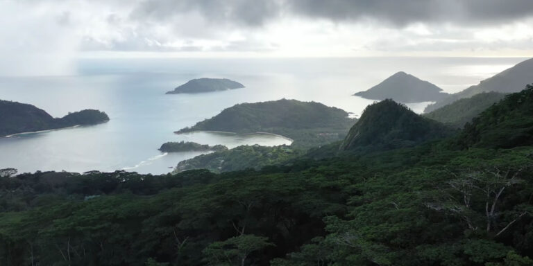 Profile archi tech seychelles 768x384