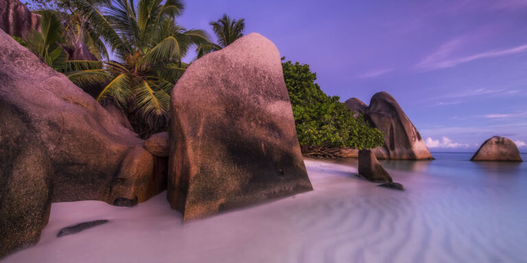 Profile arnold trevor germain 768x384