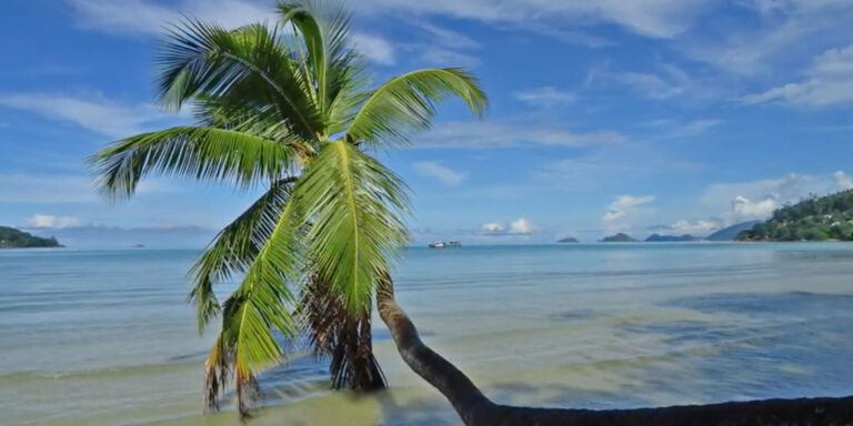 ashihara karate main branch 768x384