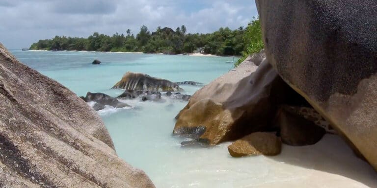 association of nigerians in seychelles 768x384