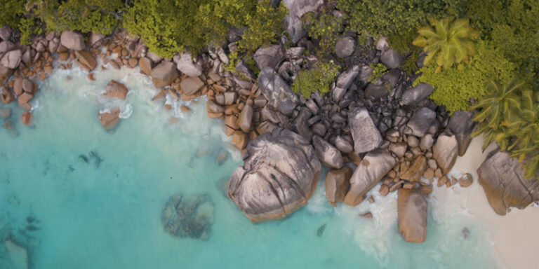 atoll freediving seychelles 768x384