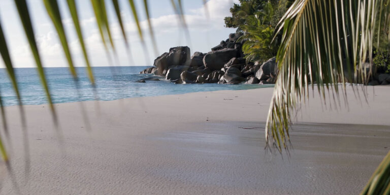 au fond de mer view 768x384