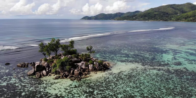 azarch vision studio 768x384