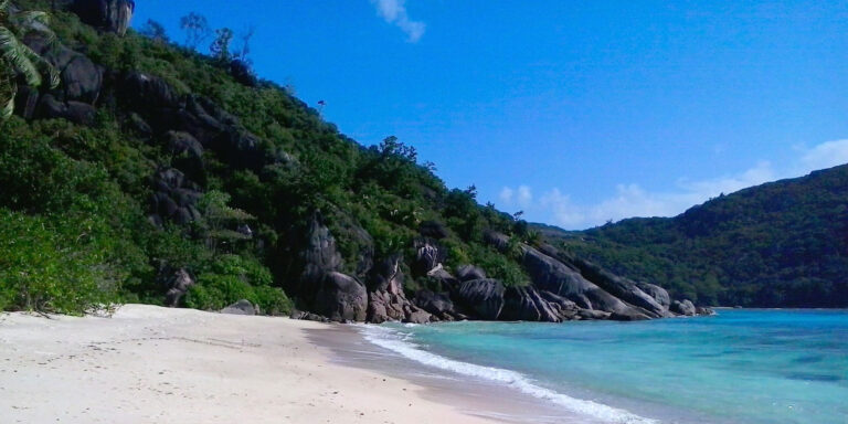 bamboo chalets 768x384