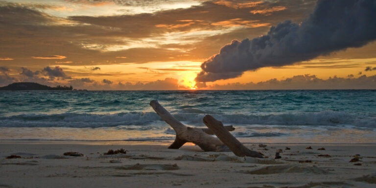 baobab pizzeria beau vallon mahe island seychelles 768x384