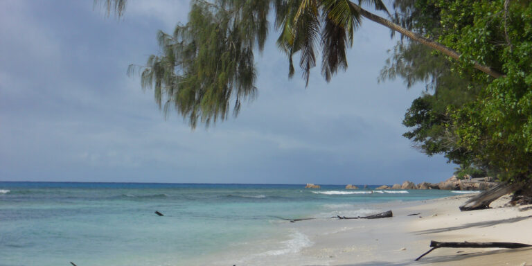 barefoot wedding seychelles 768x384