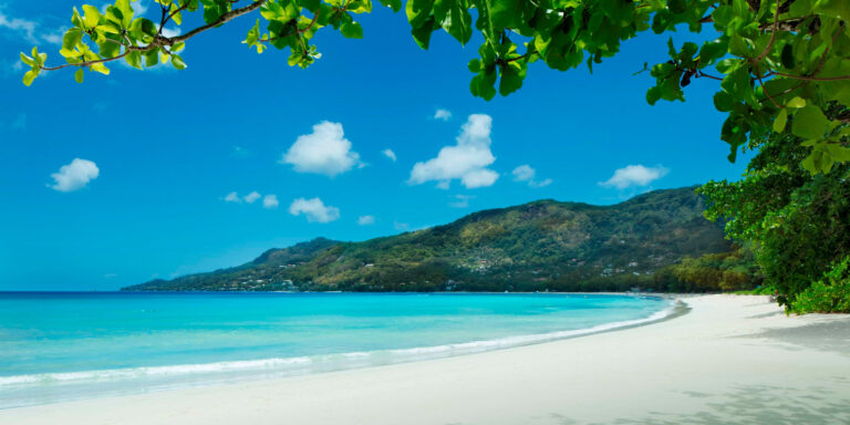 bat o bleu seychelles pty ltd 768x384