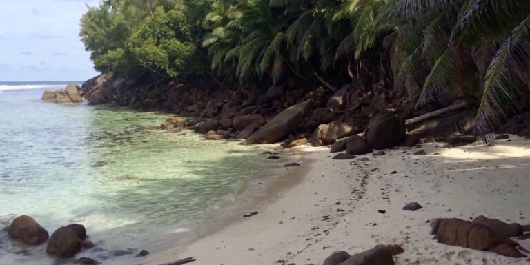 Beau Vallon Studios Seychelles beau vallon studios seychelles 768x384