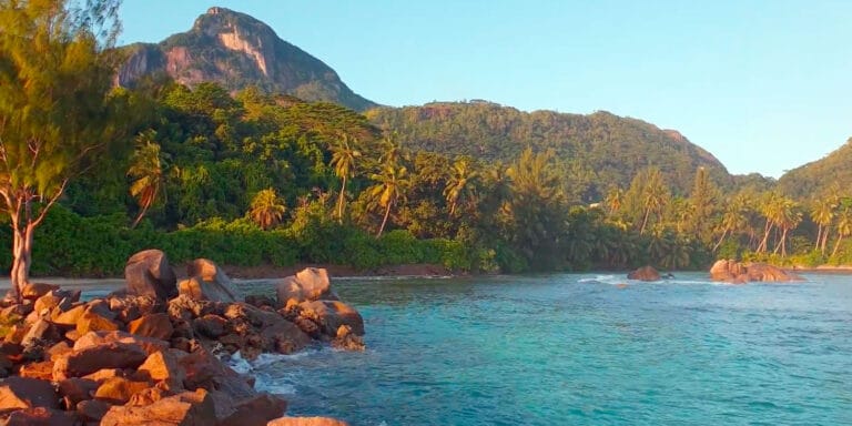 beauty buzz seychelles 768x384
