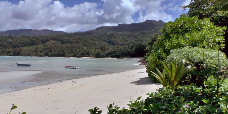 Profile ben trading company pty ltd 768x384