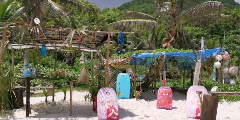 bernard toulon 768x384