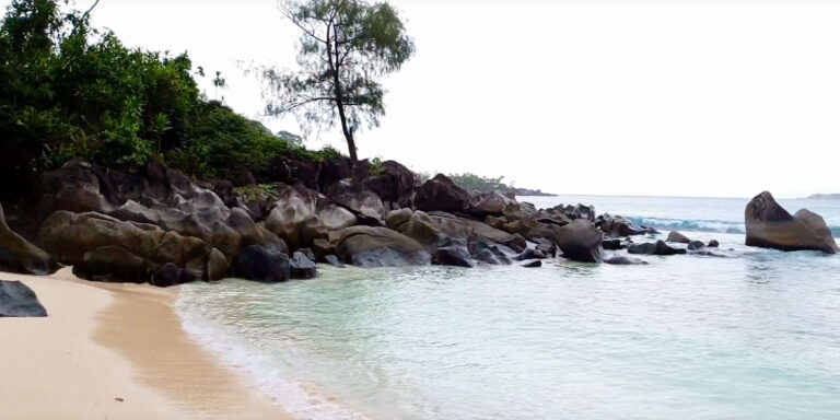 beryl guesthouse 768x384