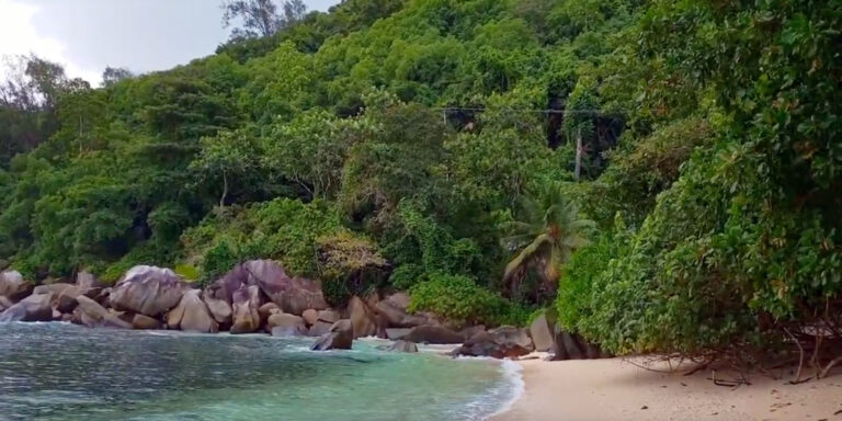 beryl studio 768x384