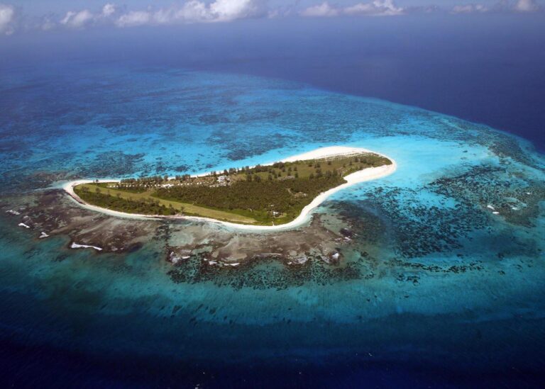 bird island 1985 ltd 768x549