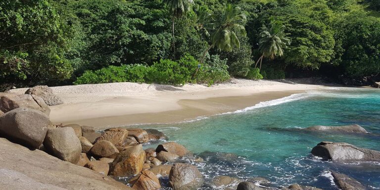 blue lagon publishing 768x384