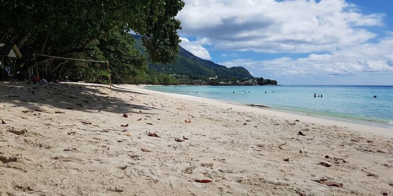 blue sea divers ltd 768x384