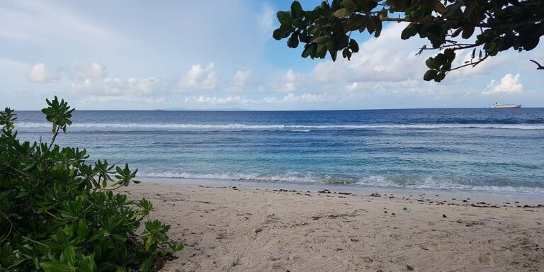 boaters world 768x384