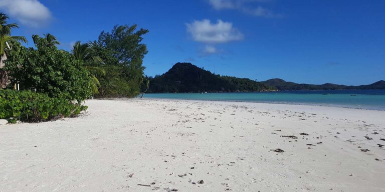 breeze pty ltd 768x384