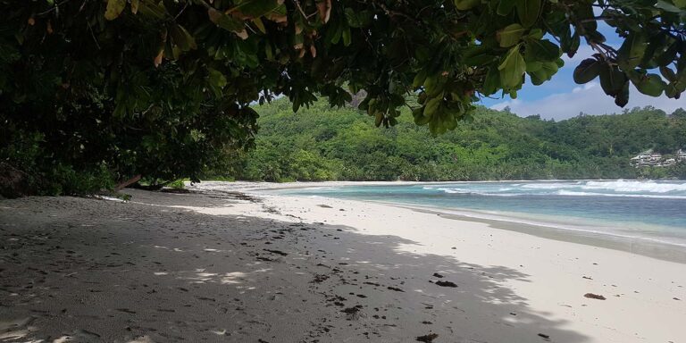 brown sugar lodge 768x384