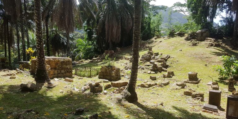 cabinet isis suivi pre et post natal 768x384