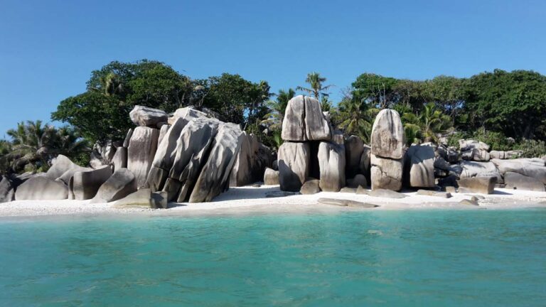 cap samy mini market 768x432