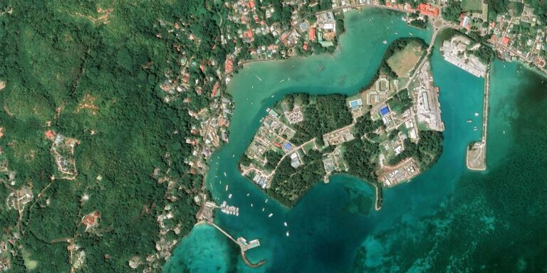 care trading 768x384