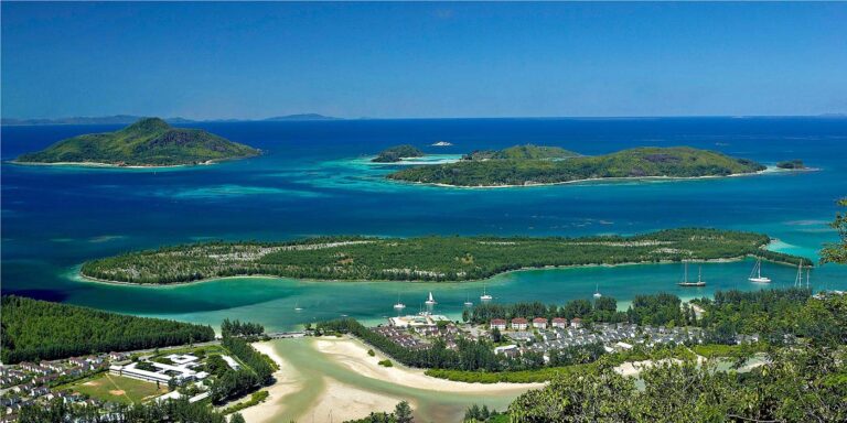 carnaval international de victoria 768x384