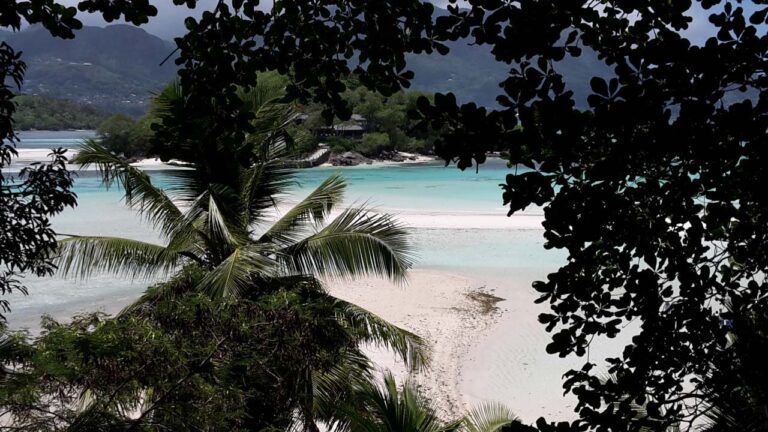 cashmere house 768x432