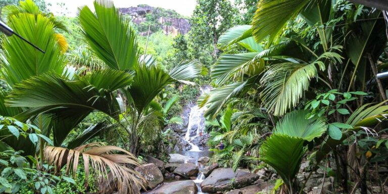 castello beach hotel ltd 768x384