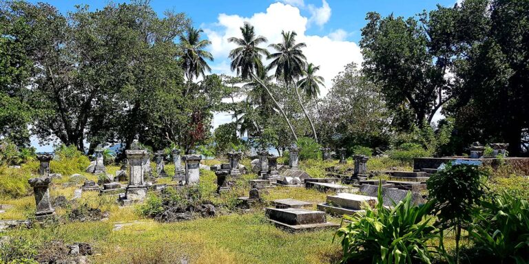 charles louis pty ltd 768x384