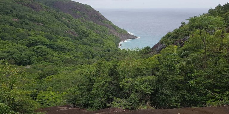 childrens homes foundation 768x384
