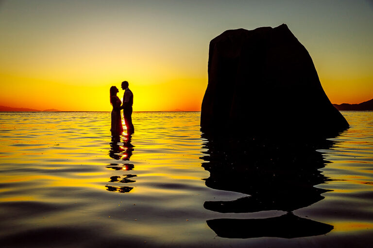 chitra store 768x512