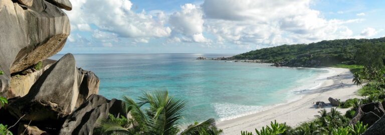 coconut climb self catering 768x269
