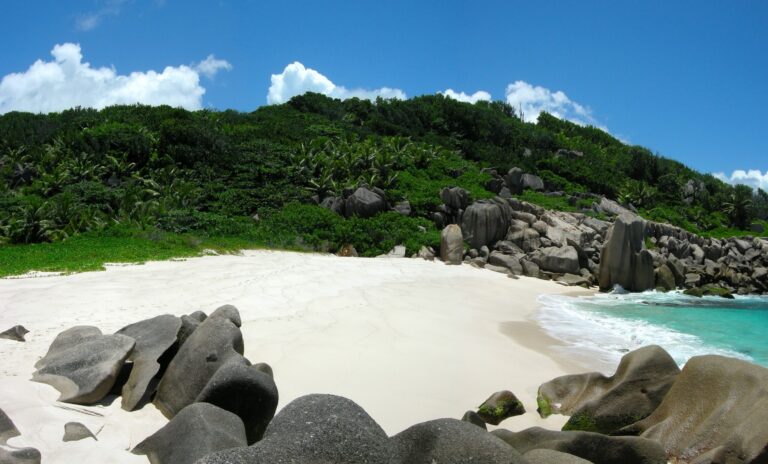 Constant Capital - Seychelles Ltd constant capital seychelles ltd 768x464