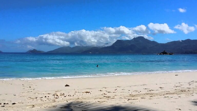 continental store 768x432