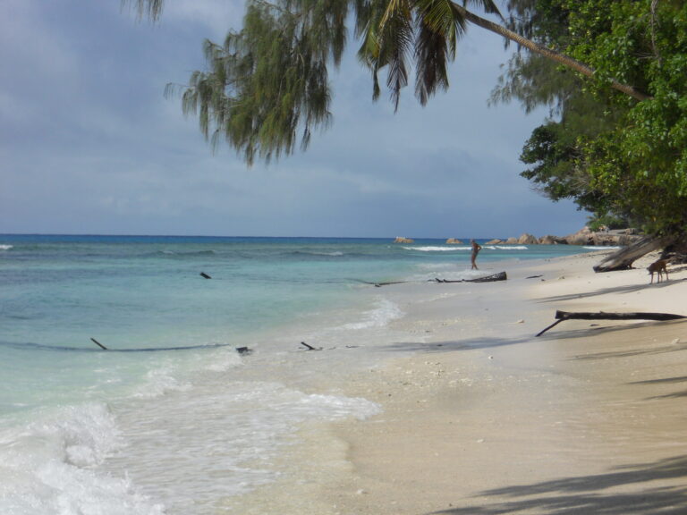 cosmorama pty limited 768x576