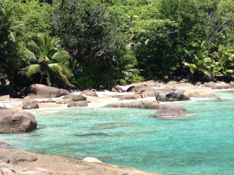 cote dor chalet 768x576