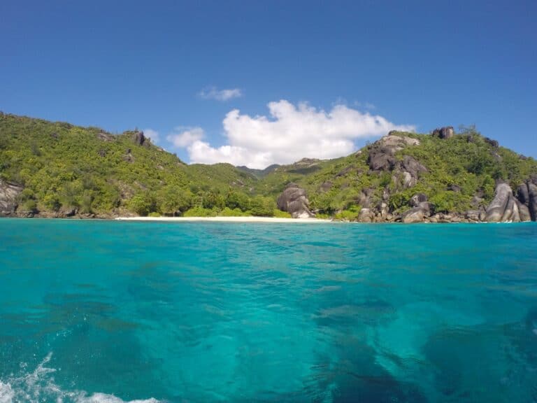 CSSA (SEYCHELLES) cssa seychelles 768x576