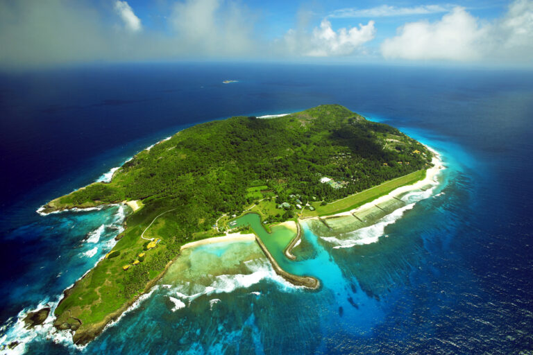 d a l s mini market 768x512