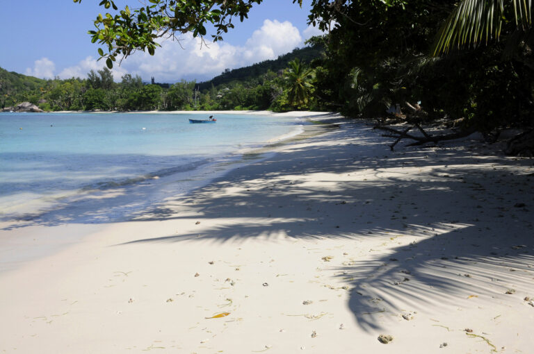 dan kazou self catering 768x510