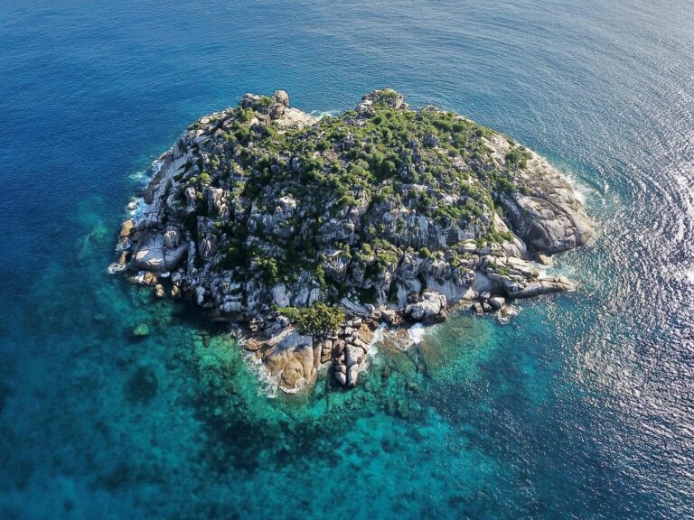 david petersik sundown bar restaurant 768x576